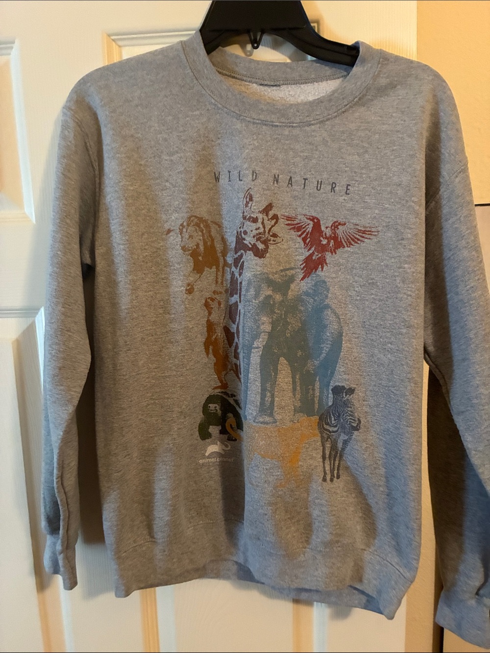 Wild Nature Graphic Crewneck Sweater - Gray XS